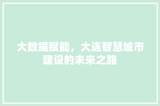 大数据赋能，大连智慧城市建设的未来之路  第1张