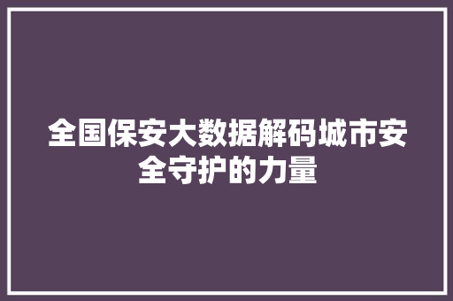 全国保安大数据解码城市安全守护的力量