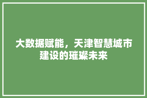 大数据赋能，天津智慧城市建设的璀璨未来  第1张