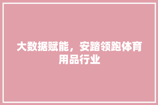 大数据赋能，安踏领跑体育用品行业  第1张