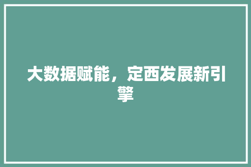 大数据赋能，定西发展新引擎