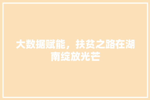 大数据赋能，扶贫之路在湖南绽放光芒  第1张