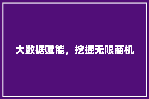 大数据赋能，挖掘无限商机  第1张