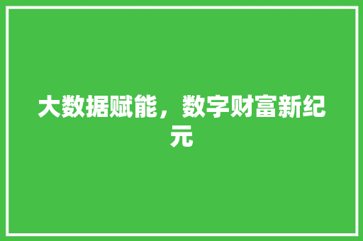 大数据赋能，数字财富新纪元