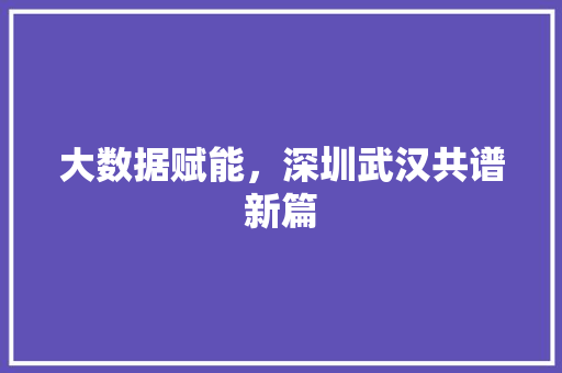 大数据赋能，深圳武汉共谱新篇  第1张