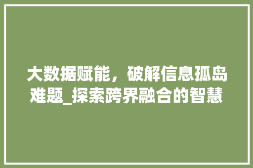 大数据赋能，破解信息孤岛难题_探索跨界融合的智慧之路