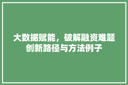 大数据赋能，破解融资难题创新路径与方法例子  第1张