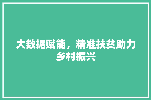 大数据赋能，精准扶贫助力乡村振兴  第1张