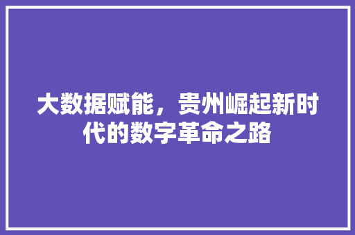 大数据赋能，贵州崛起新时代的数字革命之路  第1张