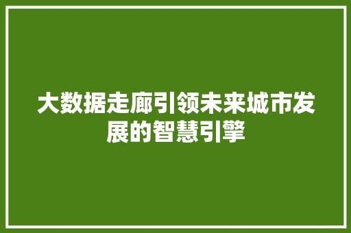 大数据走廊引领未来城市发展的智慧引擎