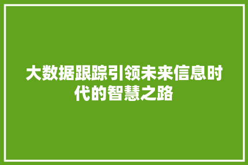 大数据跟踪引领未来信息时代的智慧之路