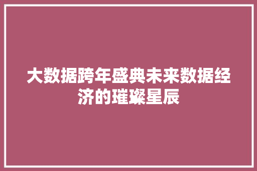 大数据跨年盛典未来数据经济的璀璨星辰