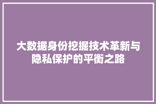 大数据身份挖掘技术革新与隐私保护的平衡之路