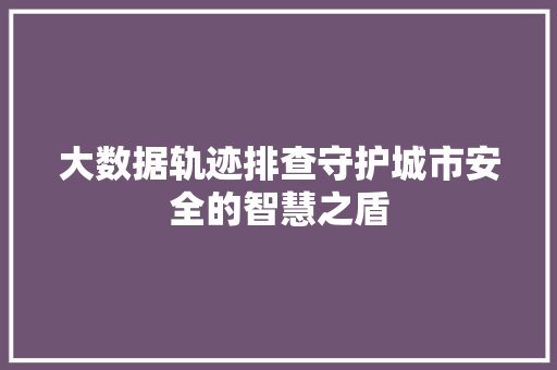 大数据轨迹排查守护城市安全的智慧之盾  第1张