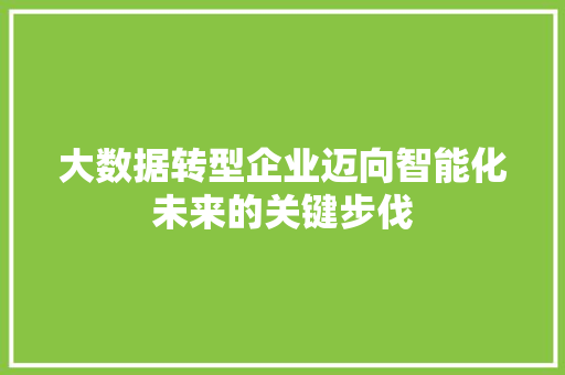 大数据转型企业迈向智能化未来的关键步伐  第1张