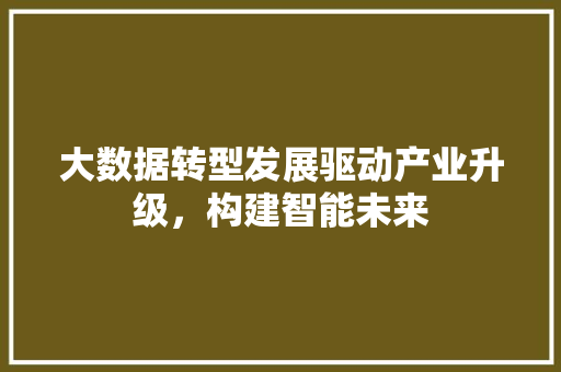 大数据转型发展驱动产业升级，构建智能未来  第1张