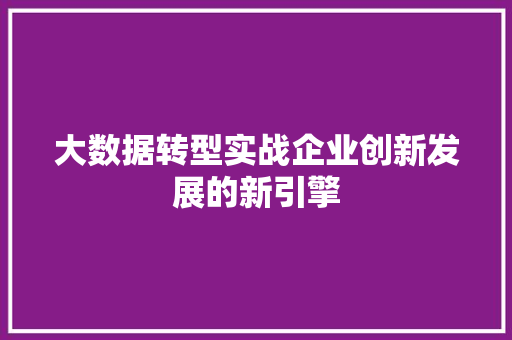 大数据转型实战企业创新发展的新引擎  第1张