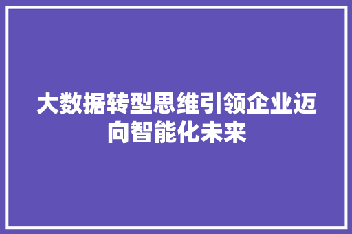 大数据转型思维引领企业迈向智能化未来  第1张