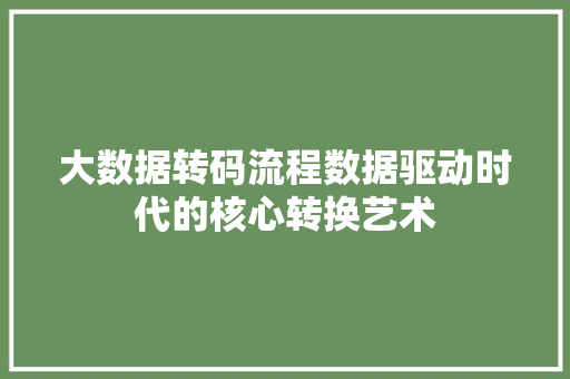 大数据转码流程数据驱动时代的核心转换艺术  第1张