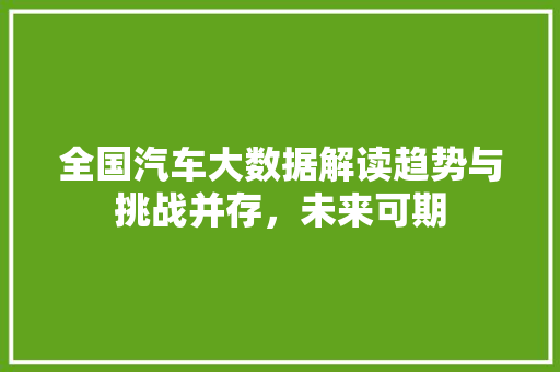 全国汽车大数据解读趋势与挑战并存，未来可期