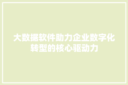 大数据软件助力企业数字化转型的核心驱动力