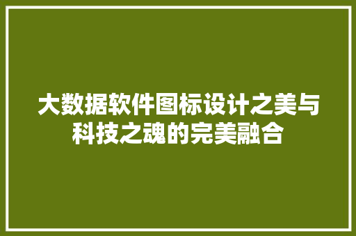 大数据软件图标设计之美与科技之魂的完美融合