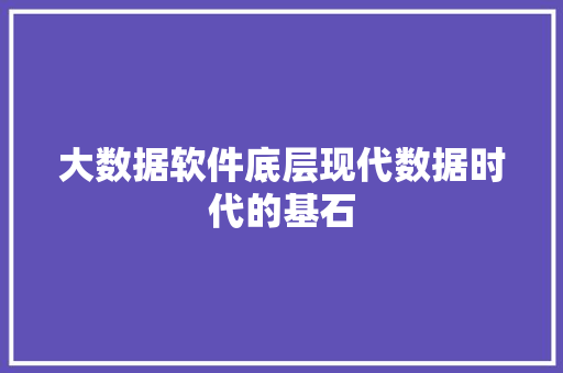大数据软件底层现代数据时代的基石