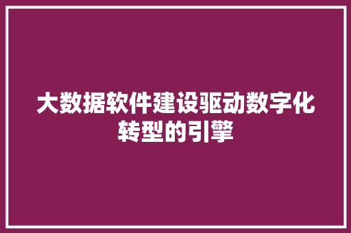 大数据软件建设驱动数字化转型的引擎  第1张