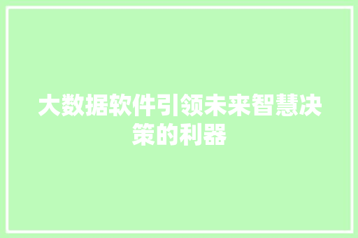 大数据软件引领未来智慧决策的利器