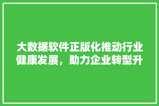 大数据软件正版化推动行业健康发展，助力企业转型升级