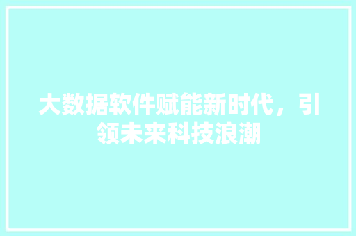 大数据软件赋能新时代，引领未来科技浪潮  第1张