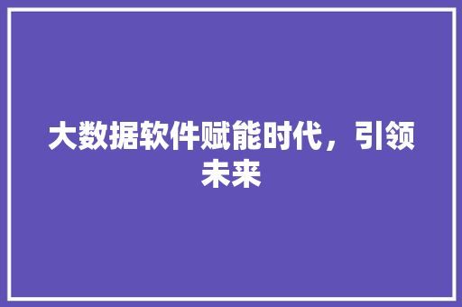 大数据软件赋能时代，引领未来  第1张