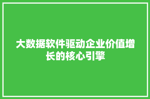 大数据软件驱动企业价值增长的核心引擎  第1张