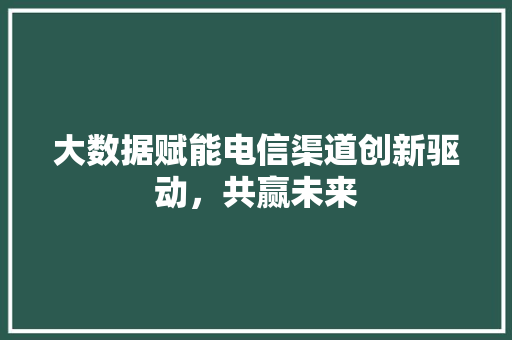 大数据赋能电信渠道创新驱动，共赢未来  第1张