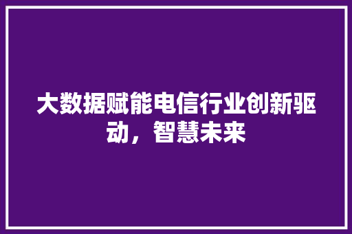 大数据赋能电信行业创新驱动，智慧未来  第1张