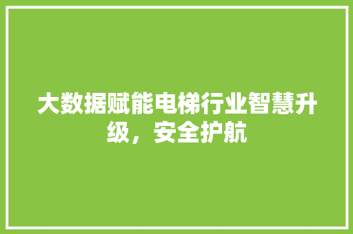 大数据赋能电梯行业智慧升级，安全护航  第1张