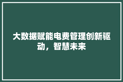 大数据赋能电费管理创新驱动，智慧未来