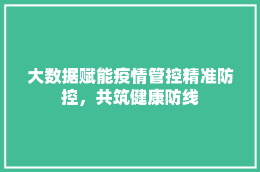 大数据赋能疫情管控精准防控，共筑健康防线  第1张