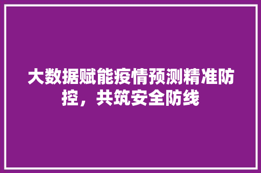 大数据赋能疫情预测精准防控，共筑安全防线  第1张