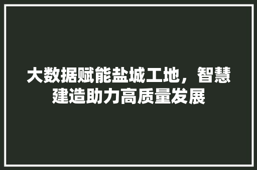 大数据赋能盐城工地，智慧建造助力高质量发展