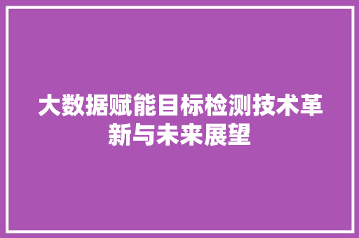 大数据赋能目标检测技术革新与未来展望
