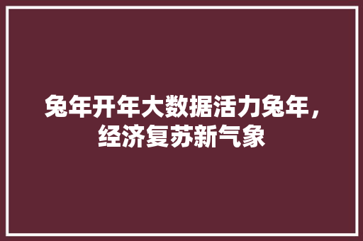 兔年开年大数据活力兔年，经济复苏新气象