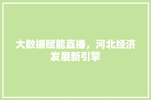 大数据赋能直播，河北经济发展新引擎  第1张