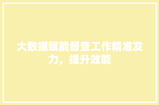 大数据赋能督查工作精准发力，提升效能