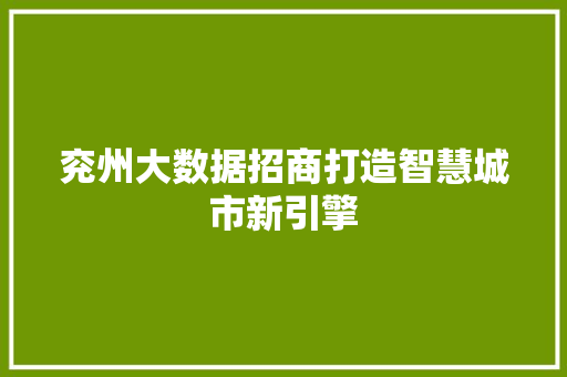 兖州大数据招商打造智慧城市新引擎