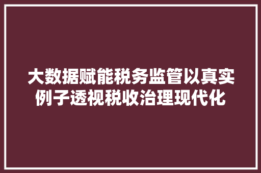 大数据赋能税务监管以真实例子透视税收治理现代化  第1张