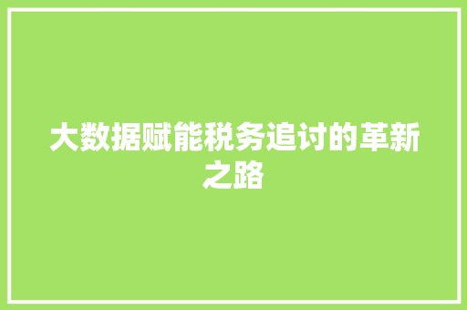 大数据赋能税务追讨的革新之路