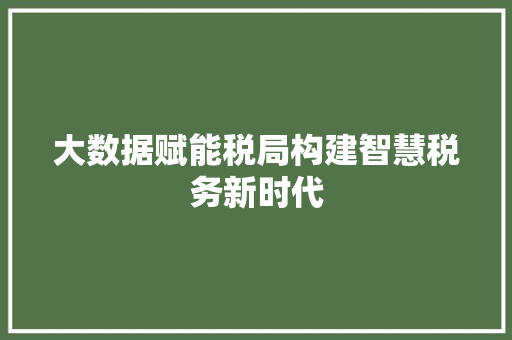 大数据赋能税局构建智慧税务新时代  第1张