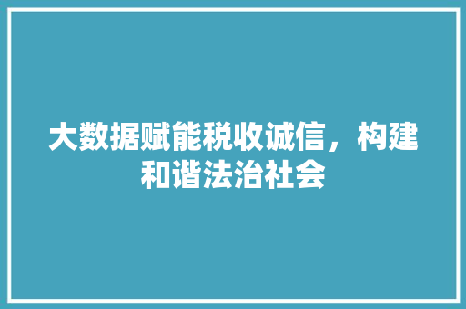 大数据赋能税收诚信，构建和谐法治社会  第1张