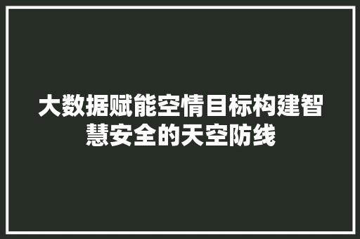 大数据赋能空情目标构建智慧安全的天空防线